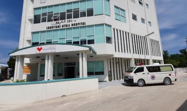 ހެޔޮވެރިކަން: ޑައިލެސިސްގެ ހިދުމަތް އަތޮޅުތަކަށް