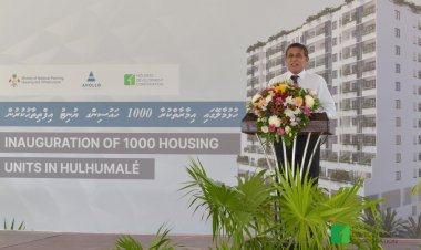 ހެޔޮވެރިކަން: ގެދޮރުވެރިޔާ ސްކީމްގައި 32 ޓަވަރ