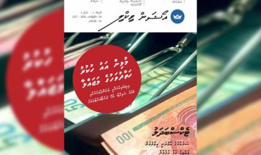 ދިޔަރެސް ޔާމީނަށް ވިކިފަ! ހީރަސް ސަރުކާރަށް ގަނެފަ! އަންނި ގޮތް ހުސްވެފަ!