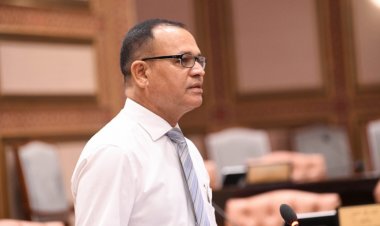 ފައިނު އާދަނަށް: އަރާއިން ގޮނޑިން ވެއްޓި ދަތްދޮޅި ފެޅިދާނެ!