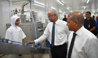 ވެރިކަމުން ބޭލީމާ ނިކުމެ މަސްވެރިންގެ ވާހަކަ ނުދައްކާ