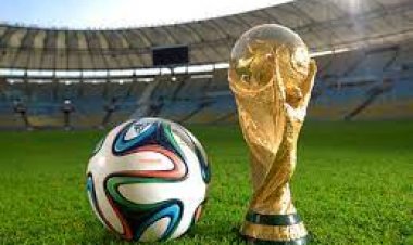 ވޯލްޑް ކަޕް ވިނަރސް