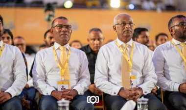 މަރުވެފައިވާ ކަލްޓް ފިކުރެއް ނުދިރޭނެ!
