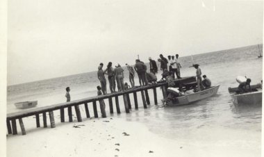 ގަބުޅިކަތީބުން ތިބެންޖެހޭނީ ގަނޑުވަރުގެ ތިރިގޮނޑީގައި