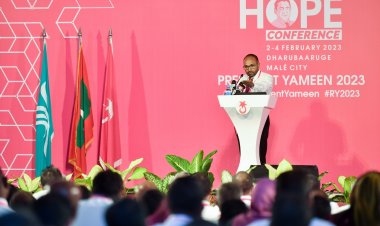 ހޯޕުން ބުންވަރު ހޯދާ ދުއްޕާން ކުރަން ނިކުތީ ފުއްގިރީ ބޮޑުވަގަށް!