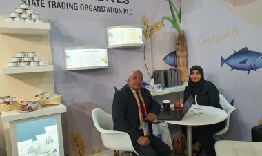 އެސްޓީއޯ އިންޓަރނޭޝަނަލް ޓްރޭޑަށް