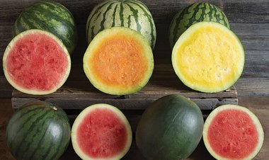 ރޯދަ ބާޒާރު: ކަރާ