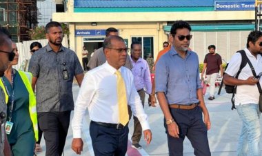 ކާލިގަނޑު ކޮށާ މީދާ މަރާލުން