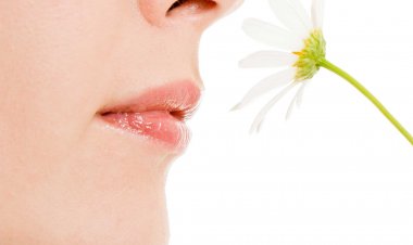 ސެންޓް: ލޯބި އުފައްދައިދީ ފަހަށް ރައްކާކޮށްދޭ