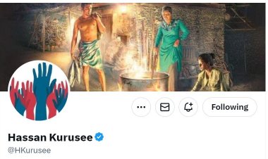 އަންނިގެ ޝައިތާނީޝަހުސް: ހަސަންކުރުސީ