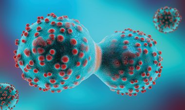 ކެންސަރާ ދެކޮޅަށް އެހީތެރިވެދޭ ވައިރަހެއް: