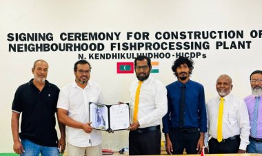 ކެނދިކުޅުދޫ ގޭދޮށު މަސް ޕްލާންޓް