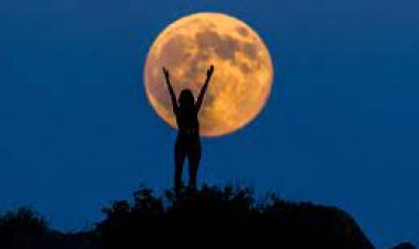 ހިތުގެ ފަރިޔާދު: ހަނދު ހަޔާތަށް ނޭރިނަމަ