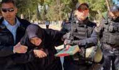 ގުދުސުން ހައްޔަރުކުރި ތުރުކީ އަންހެނާ ދޫކޮށްލައިފި