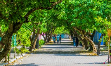 އަމާން ކަމާއި އެކު ގައުމައިގެން ކުރިއަށް