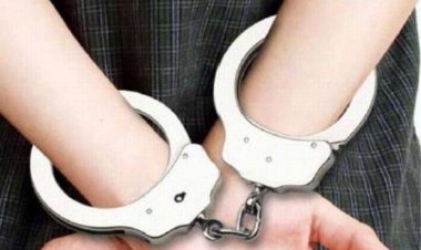 15 އަހަރުގެ ކުއްޖަކާ ގުޅުންހިންގި ކުއްޖަކު ހައްޔަރުކޮށްފި