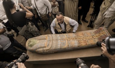 މިޞްރުން ގަދީމީ ވޯކްޝޮޕްތަކާއި، މަހާނަތަކެއް