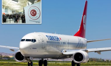 ފުލައިޓުގެ ތެރޭގައި ހޭނެތުނު ކުއްޖަކު މަރުވެއްޖެ.