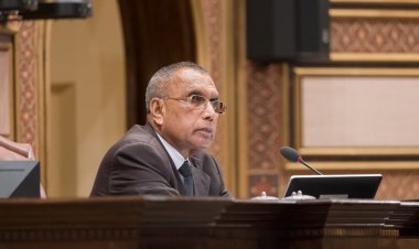 މަޖިލީހުގެ ރިޔާސަތުން ގަވާއިދަށް އަމަލެއް ނުކުރޭ: އެމްޑީޕީ