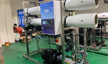 ރަސްދޫގައި ފެންނަށް ޖެހުން ނިމުމަކަށް ގެނައުން