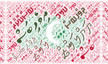 ދިވެހި ބަހުގައި އައު ލަފުޒު ހެދުމުގެ  އުސޫލު