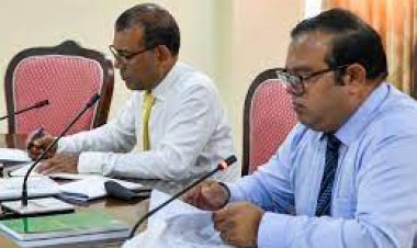 މަޖިލިސް ކުރިއަށް ދާނީ ދަ ޑިމޮކްރެޓްސް އުފެދުމުން