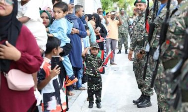 ތުއްތުކުއްޖެއްގެ ސެލިއުޓް