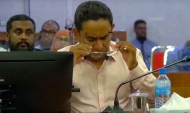 ޕާޓީ ޓިކެޓް އޮންނާނީ މެންބަރުން ބޭނުންވާ މީހާ އަތުގައި