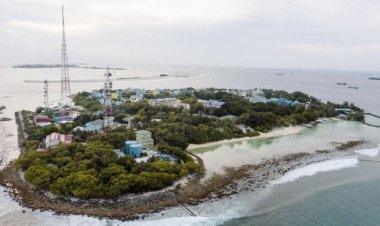 ސްޓެލްކޯ އެދުނީ ބިމަށް ޖާގަ އިތުރުކުރާކަށް ނޫން