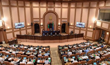 ބާރުގަދަ ޕާލަމެންޓާއި ރިޔާސީ ނިޒާމް