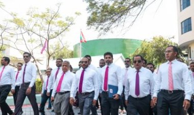 ޕީޕީއެމް- ޕީއެންސީ ސެނެޓަކީ ދަތްނެތް ސިންގާއެއް!