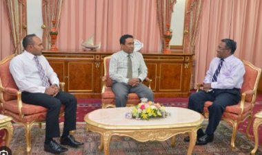 ޕީޕީއެމްގެ ޕްލޭން ބީ: ދެ ޑޮޓަރުންނަށް ޓިކެޓް