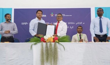 މާވަށުގައި އައިސް ޕްލާންޓަކާއި ކޯލްޑް ސްޓޯރޭޖެއް