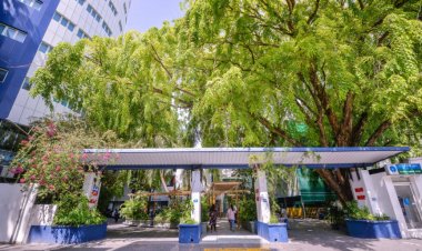 ދައުލަތުގެ އެސެޓުން ޖީބު ފުރުން