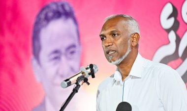 މުއިއްޒު ވާދަކުރަނީ ރައީސް ޔާމީނާ