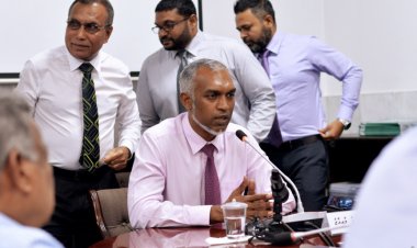 ފެނަކަ އާއި އާރުޑީސީގެ ގިނަބަޔަކު ވަކިކުރަންޖެހޭ.