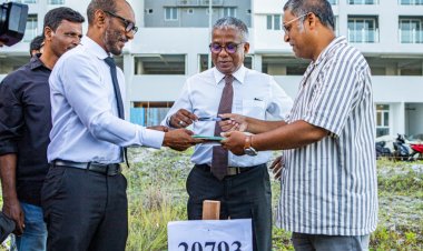 ގޯތިތައް  ބަދަލު  ކުރެވޭ  ގޮތް  ހަދަނީ