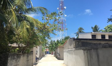 ގަސްތުގައި މުދާ އަގުބޮޑުކުރުން ހުއްޓުވާނަން: ސަރުކާރު