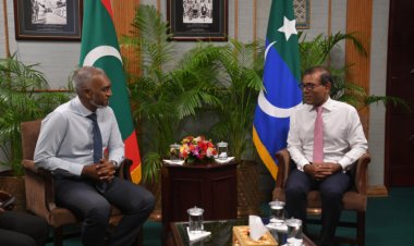 ވަގަށް ނެގި ގޮނޑިތައް މުއިއްޒަށް ވިއްކާލަނީ