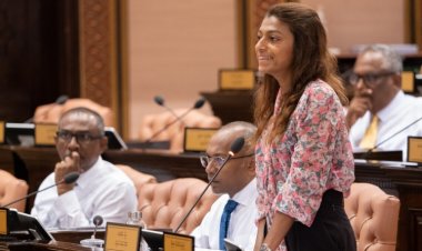 ޑިމޮކްރެޓްސްގެ އެމްޕީންނަށްވުރެ ގޮތްކުޑަ ބައެއްނެތް