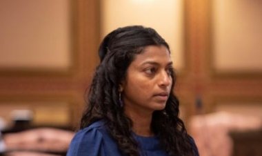 ސަރުކާރުގައި ވަގުންގެ ނެޓްވޯކެއް އޮތިއްޔާ މުލުވަގަކީ އަންނި