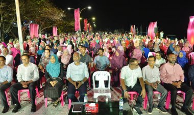 ހުސްގޮނޑީގެ ޖަޒްބާތު