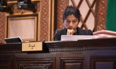 މެންބަރުން ވާހަކަ ދައްކާލަންދެން ކެތްނުވެ އީވާ ދިން އިސްތިއުފާ