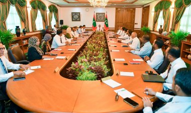 ދާމޫގަނޑުގައި ކަމެއްނެތަސް ކުރާ ހަރަދު ވަނީ ބޮޑު