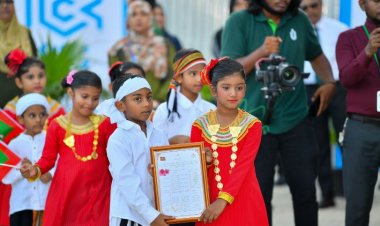 މުއައްސަސާތަކުގެ ބޭނުންކެނޑި ބާރެއްނެތީތަ!