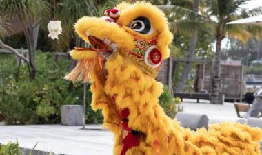 ދިވެހީންގެ ރައީސަކީ ޑްރެގަން ޝީންޓޯއަކީތަ!؟