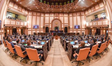 ސަރުކާރަށް މަޖިލިސް ދިނުމުން ރައްޔިތުން މަތިން ހަނދާންނެތޭ!