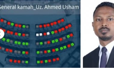 އުޝާމު ދައުލަތުން މުސާރަ ނެގުން ހުއްޓުވަންޖެހޭ!