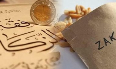 ޒަކާތް އެނގެނީ ކިހާވަރަކަށް!