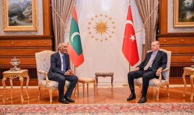 ގޮށްމުށު ވެރިކަމަކަށް މުއިއްޒު ސިފައިން ތައްޔާރުކުރަނީ؟!